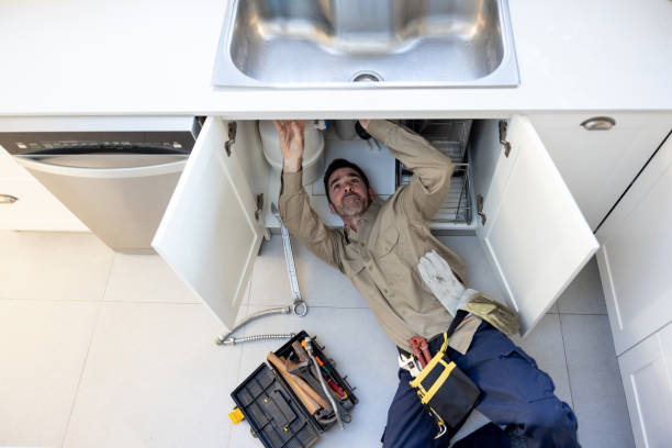 Best Plumbing Inspection Services  in Morrisonvle, IL