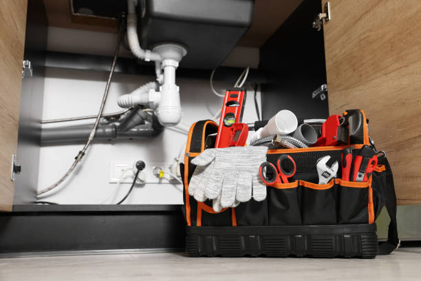Best Local Plumber Services  in Morrisonvle, IL